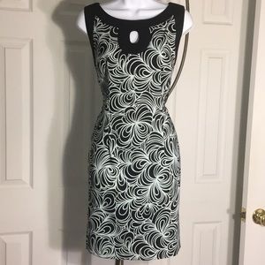 Connected Apparel Dress - 12P